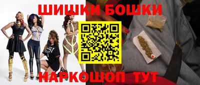шишки Дубна
