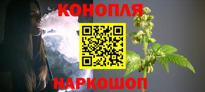 шишки Дубна
