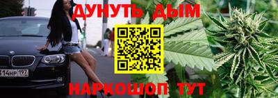 шишки Дубна