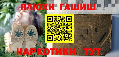 шишки Дубна