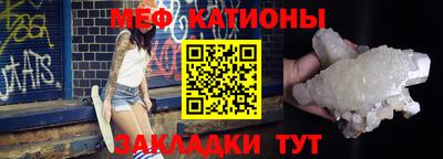 шишки Дубна