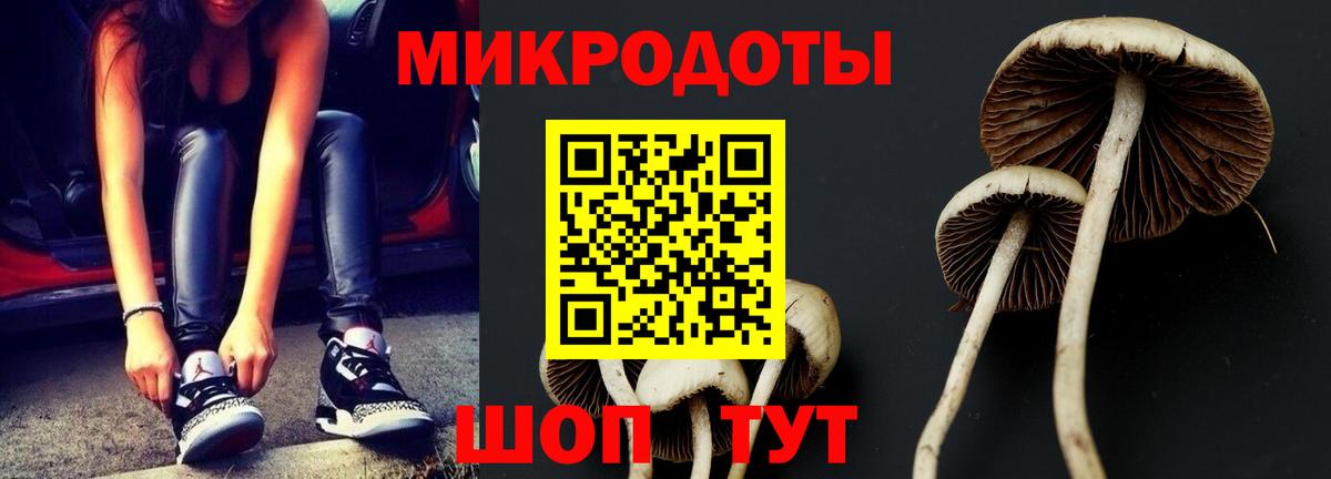Майский  Галлюциногенные грибы Psilocybe  наркота  Вход с VPN 