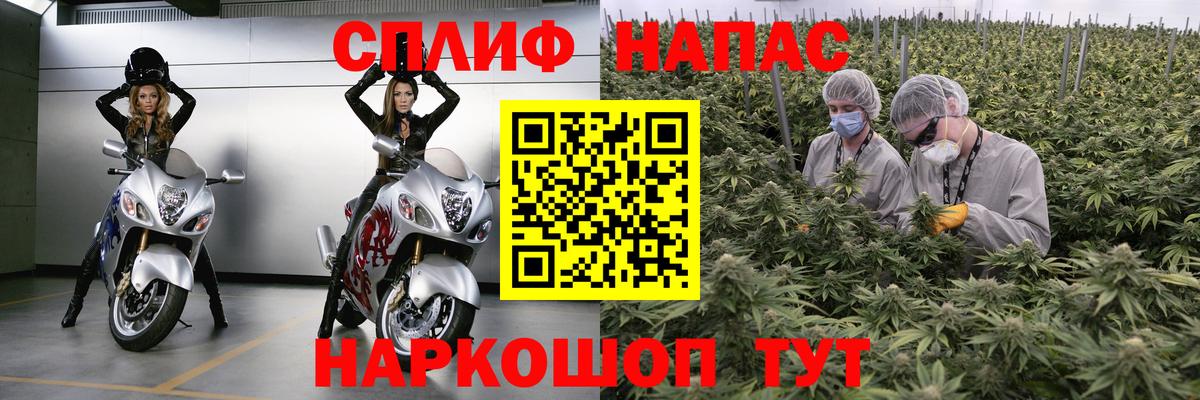 Бошки Шишки планчик Майский